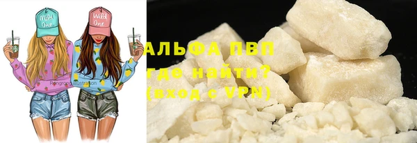 прущие грибы Семикаракорск