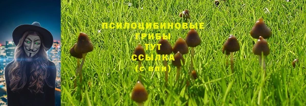 мескалин Белокуриха